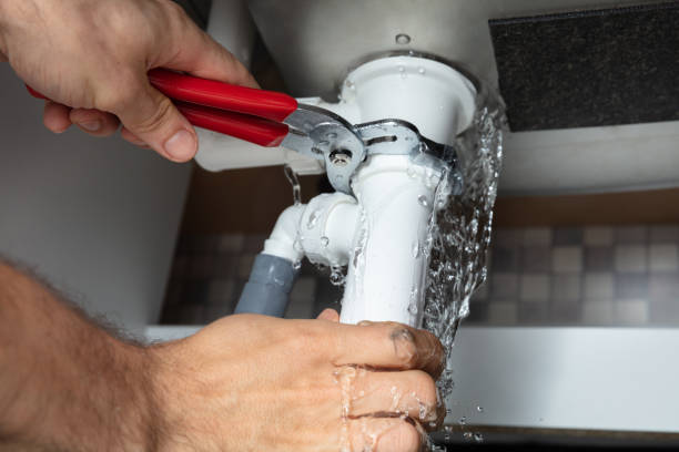 Best Professional water damage repair  in Agler Beach, FL