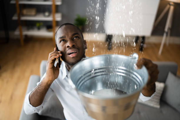  Agler Beach, FL Water damage restoration Pros