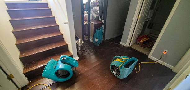 Best Ceiling water damage repair  in Agler Beach, FL