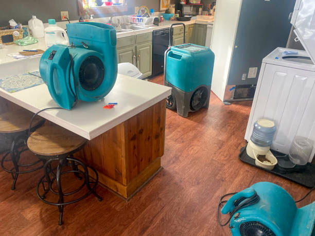 Best 24-hour water damage restoration  in Agler Beach, FL
