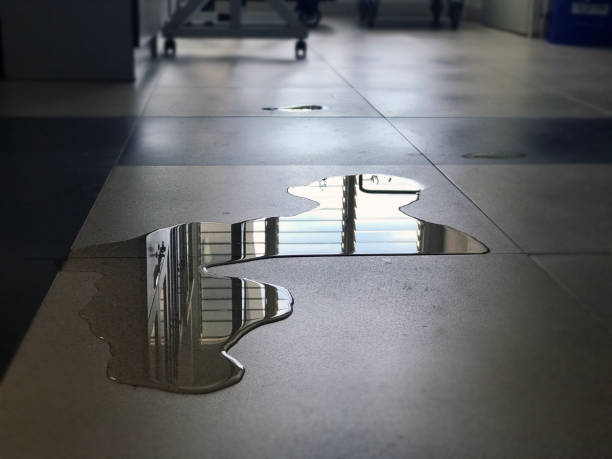 Best Commercial water damage restoration  in Agler Beach, FL