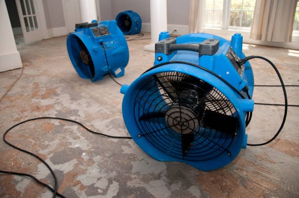 Water damage restoration experts in Flagler Beach, FL