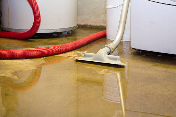 Best Residential water damage restoration  in Agler Beach, FL