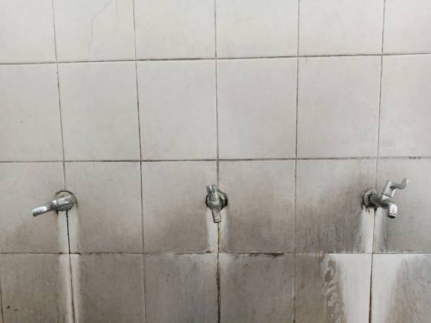 Flagler Beach, FL Water damage restoration Company