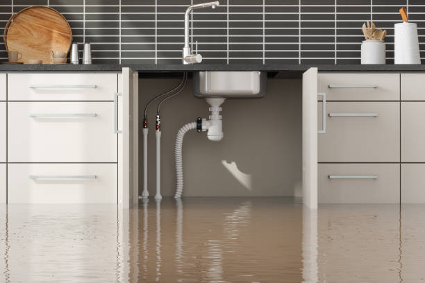Best Flood restoration services  in Agler Beach, FL