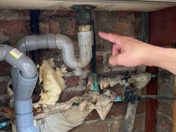  Agler Beach, FL Water damage restoration Pros