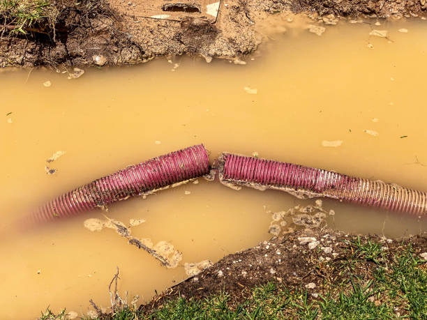 Best Water damage restoration process  in Agler Beach, FL