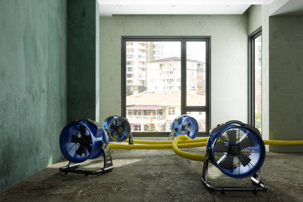 Best Fire Damage Restoration  in Agler Beach, FL