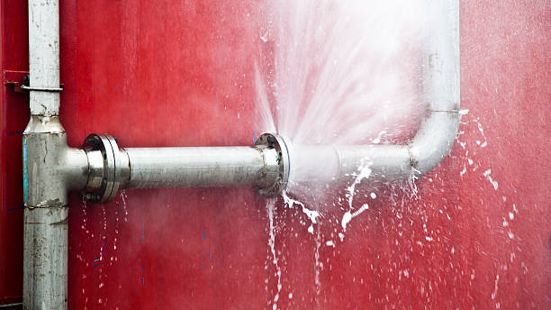 Best Basement water damage restoration  in Agler Beach, FL